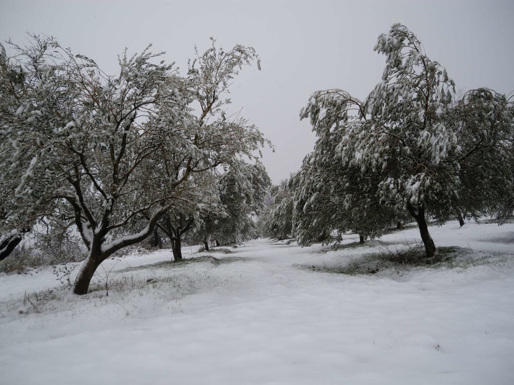 Pontet-Fronzele Agrotourisme Ecologique, Maison D'Hotes & Spa ลากอร์ซ ภายนอก รูปภาพ