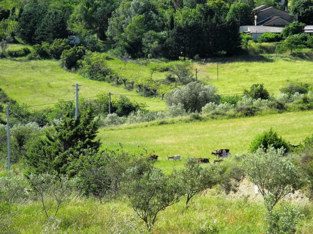 Pontet-Fronzele Agrotourisme Ecologique, Maison D'Hotes & Spa ลากอร์ซ ภายนอก รูปภาพ